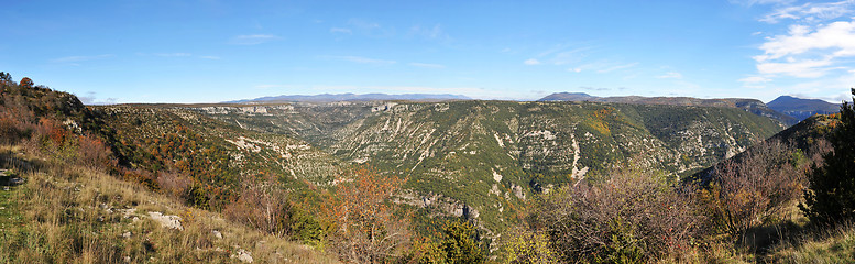 Image showing Cevennes