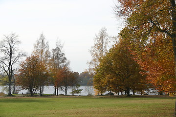 Image showing Autumn park