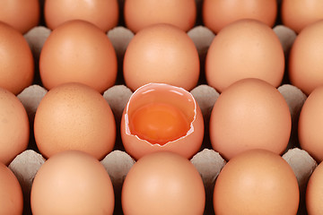 Image showing Eggs in a box