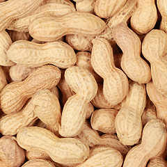 Image showing Peanuts