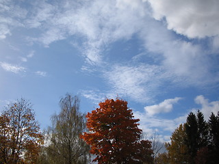 Image showing Autumn skyline