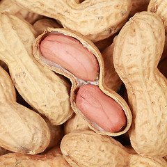 Image showing Peanuts