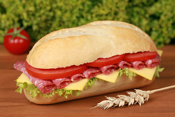 Image showing Salami Sandwich