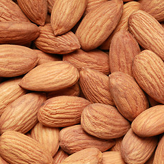 Image showing Almonds