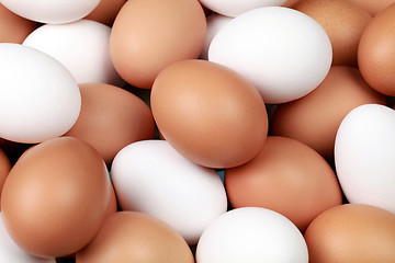 Image showing White and brown eggs