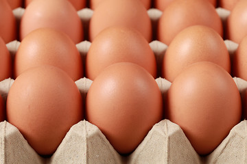 Image showing Eggs in a box