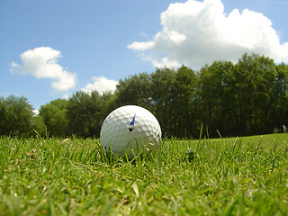 Image showing Ball in the rough