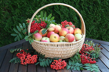 Image showing Apples in basket and rovanberries