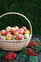 Image showing James Grieves apples