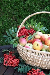 Image showing Fruit basket