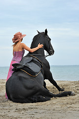 Image showing sitting horse on the beach