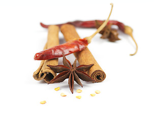 Image showing Cinnamon, chili pepper and anise