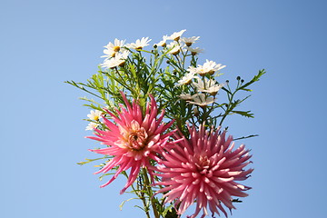 Image showing Bouquet of dahlias and marguerites