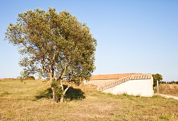 Image showing Exterior of Etruscan tomb