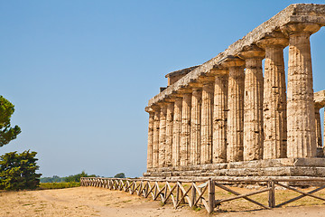 Image showing Paestum temple - Italy