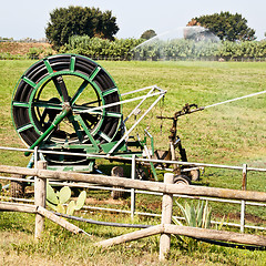 Image showing Irrigation