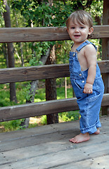 Image showing Blue Overalls