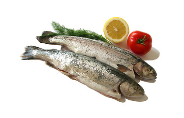 Image showing Fish is healthy