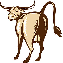 Image showing Texas Longhorn Bull Rear View Retro
