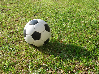 Image showing Soccer & Grass