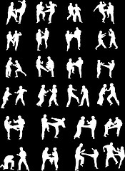 Image showing Martial Art Fighters