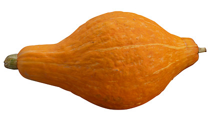Image showing Orange Pumpkin