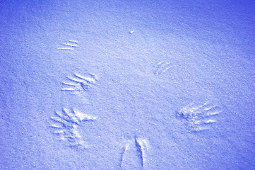 Image showing Shadows in snow