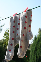 Image showing Socks with ladybirds