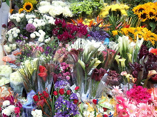 Image showing Flower stand