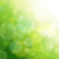 Image showing green abstract light background.