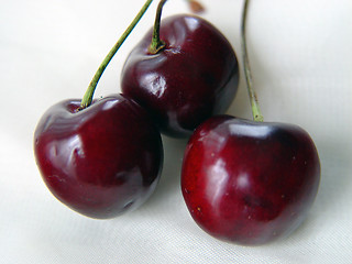 Image showing Cherry Trio