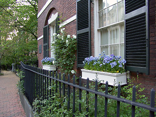 Image showing Beacon Hill Flower Boxes