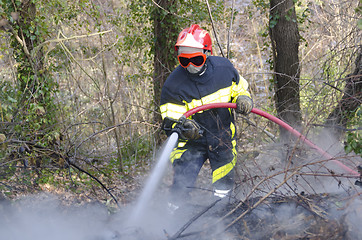 Image showing firefighter fighting fire