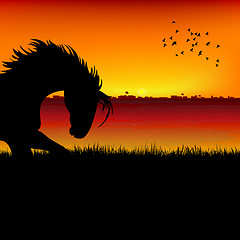 Image showing silhouette view of a horse, sunset background
