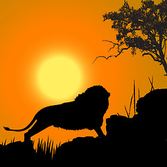 Image showing silhouette view of lion, wildlife, sun background