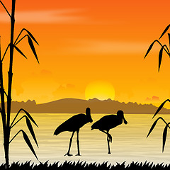 Image showing silhouette view of birds in water, wildlife