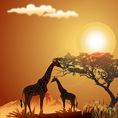 Image showing silhouette of giraffe, with jungle landscape and sun