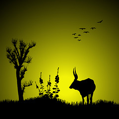 Image showing silhouette of a deer with jungle landscape