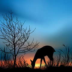 Image showing silhouette view of a deer eating grass