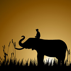 Image showing silhouette of an elephant with human, wildlife