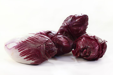 Image showing Chicory