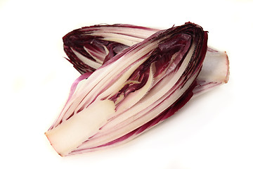 Image showing Chicory