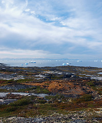 Image showing Greenland west coast in summer.