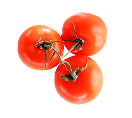 Image showing Three tomatos isolated