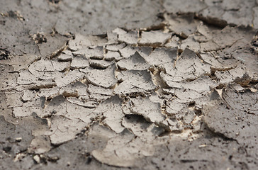 Image showing Dry cracked land