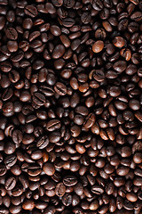 Image showing Coffee beans