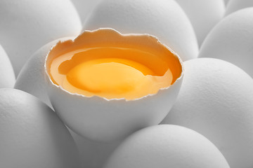 Image showing Close up photo of white eggs in a raw row