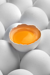 Image showing Close up photo of white eggs in a raw