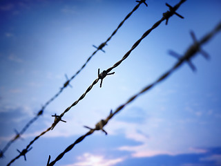 Image showing barbed wire against evening sky 