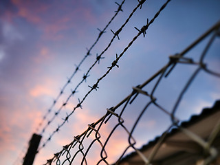 Image showing 	barbed wire against evening sky